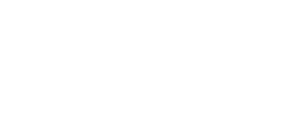 Logo Blanc Breizh